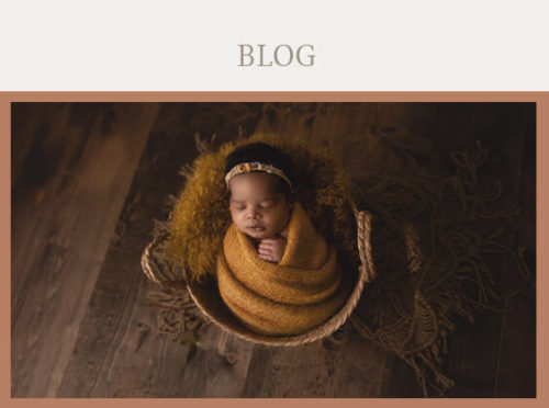 best louisville newborn photographer